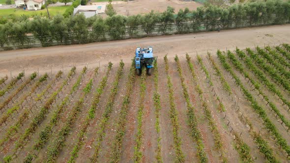 Zoom out aerial view of a blue grape harvester in Talagante, Maipo Valley, Chile. alt