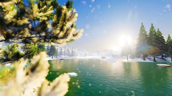 Winter Lake