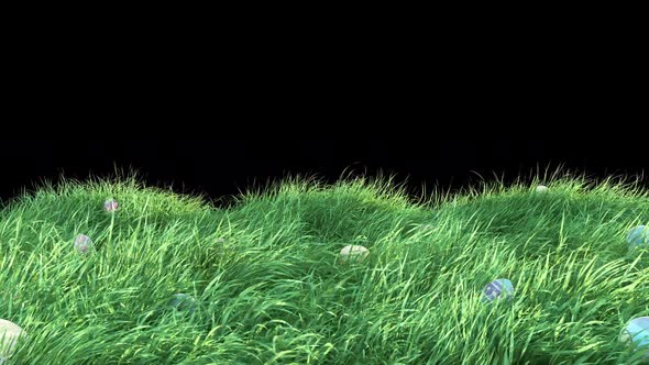 Easter Egg on Grass Strong Strong  alt