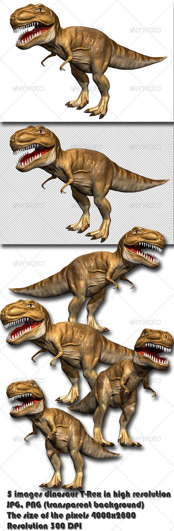 Dinosaur T-Rex - Characters 3D Renders