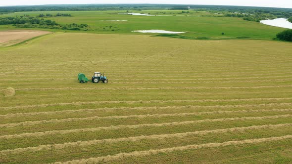 Aerial View Tractor Collects Dry Grass In Straw Bales In Wheat Field alt