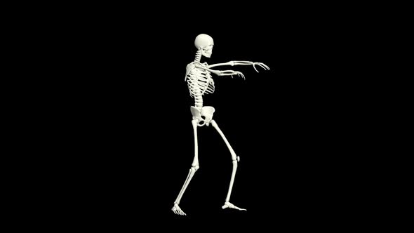 Skeleton Wave Hip Hop Dance