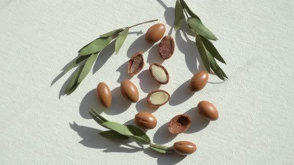 Argan Seeds on a White Background alt