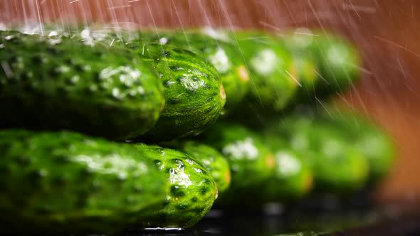 Beautiful Cucumber With Drops of Water, Food Video, Raw Organic Vegetables, Organic Harvest in alt
