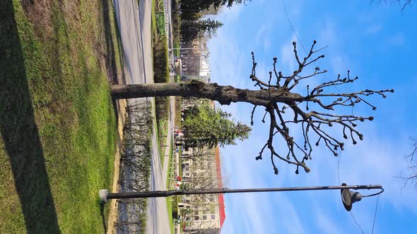 Walk in the spring park of the city of Riga. alt