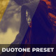 Duotone Effects Duotone Effects - VideoHive Item for Sale