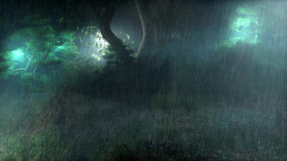 22 Lights In The Rainy Night Scenery Nature Beautiful Weather The Forest