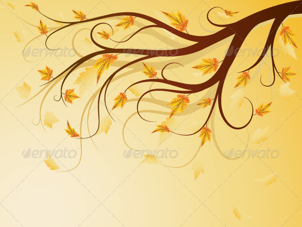 Autumn Tree - Seasons Nature