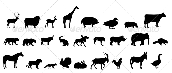 Animal Silhouettes - Web Technology