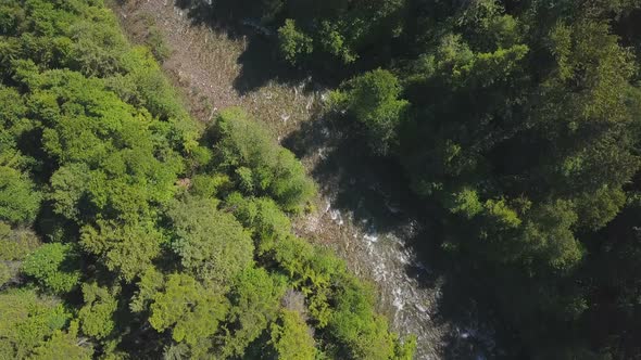 Aerial Drone Topical View Showing Rushing Water Rapids Between Evergreen Forest 2