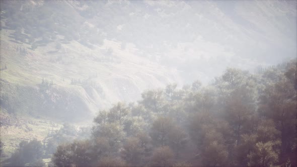 High Mountain in Morning Time alt