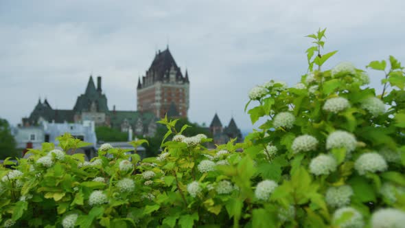 Chateau Frontenac and a flower bush alt