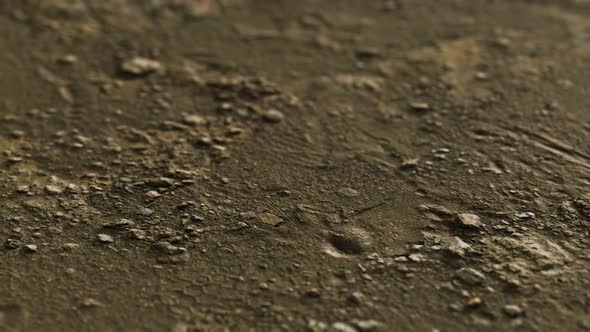 Closeup of Dirty Ground Road alt