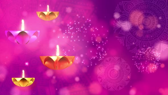 Diwali Festival of Light Cerebration 08