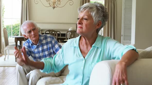 Senior couple arguing with each other in the living room alt