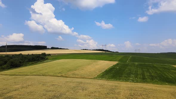 Aerial Landscape View of Green Cultivated Agricultural Fields with Growing Crops on Bright Summer alt