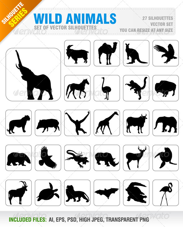 Wild Animals - Animals Characters