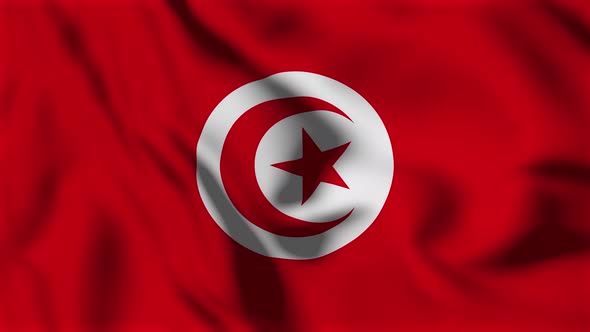 Tunisia Flag Animation Loop Background alt