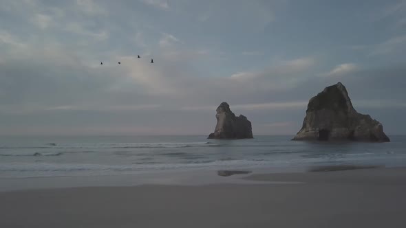 Flying with birds along beautiful beach