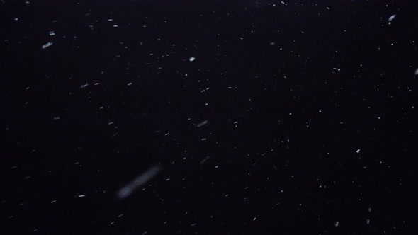 Snowfall Against Night Sky, White Snow Flakes Falling at Night, Looped Footage