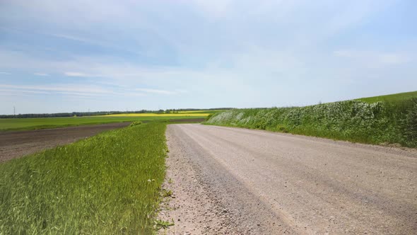 Strong wind plays with grass by the gravel road