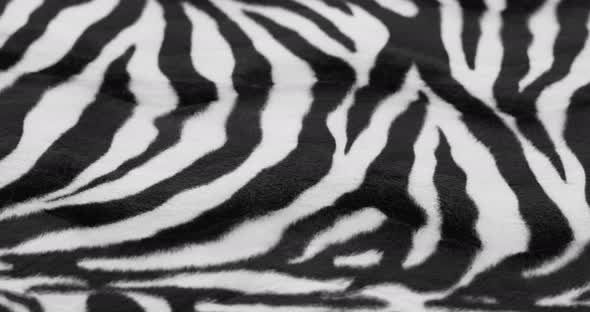 Zebra Fur Fabric Closeup alt