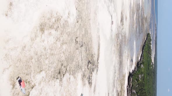 Vertical Video of Low Tide in the Ocean Near the Coast of Zanzibar Tanzania Aerial View alt