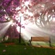 Beauty Tree In Bloom With Bench On Spring - VideoHive Item for Sale