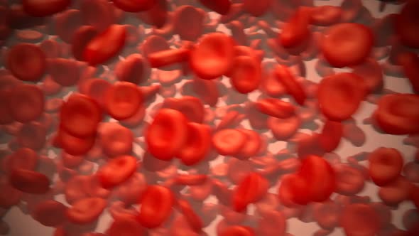 Close up of the red blood cells flowing in the artery. Life in the blood vessel.
