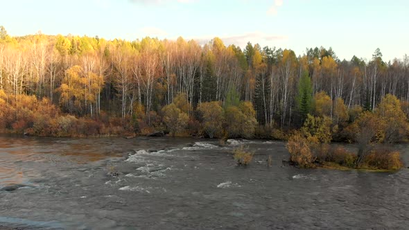 Drone Flying Cross Over a Stream of Mountain River and Fall Forest