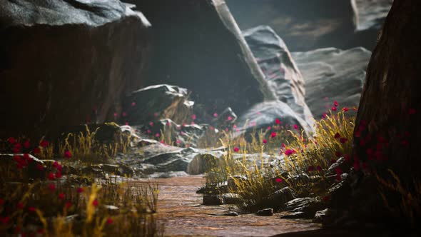 Gravel Path with Rocks in Mountains alt