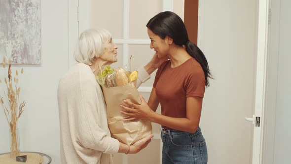 Female Caregiver Bringing Food to Elderly Woman at Home alt