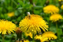 Nature at it's best
