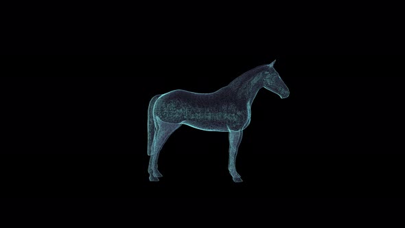 3D Seamless Loop Horse Hologram Wireframe