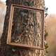 Autumn Photo Frames - VideoHive Item for Sale