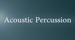 Acoustic Percussion