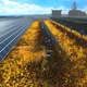 Solar Farm in Meadow - VideoHive Item for Sale