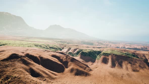 Desert View From the Airplane alt