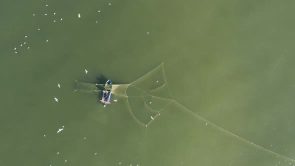 AERIAL: Fishermans Casting Nets in the Green Baltic Sea with Gulls Flying Around Searching for Fish alt