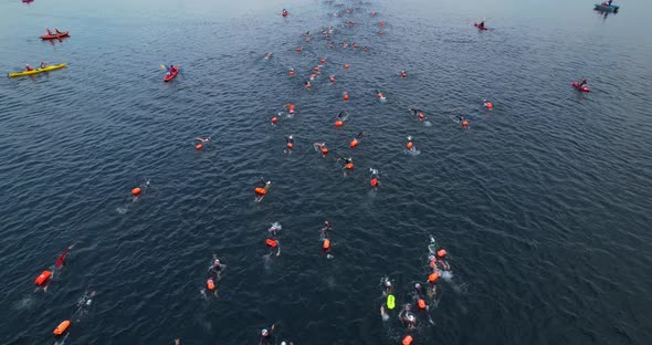 Swimmers with Buoys alt