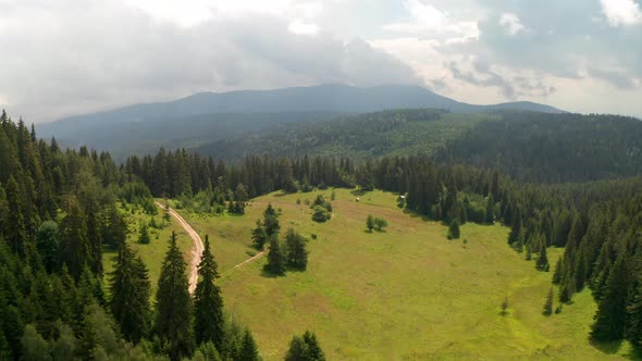 Drone flight over a picturesque summer meadow  alt