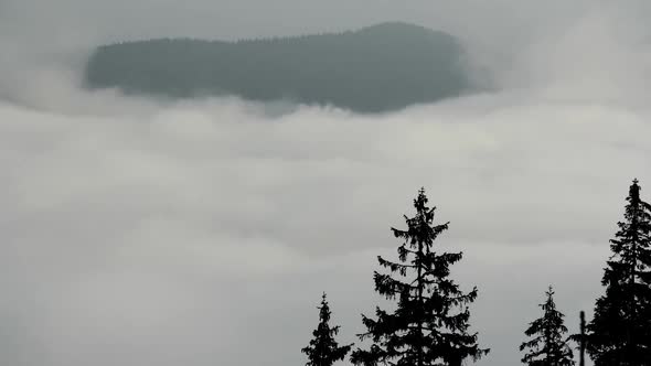 Time Lapse Fog Floating in Mountain Valley with Pine Forest Foreground