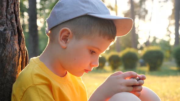 Education and New Technology. Elearning Concept. Online Courses Background. Kid Sitting in the Park