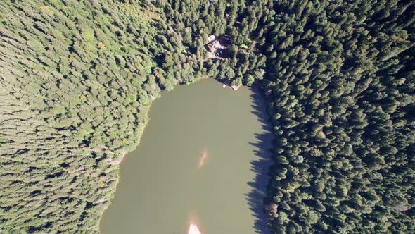 Aerial View of Synevyr Lake in Carpathians Ukraine Europe alt