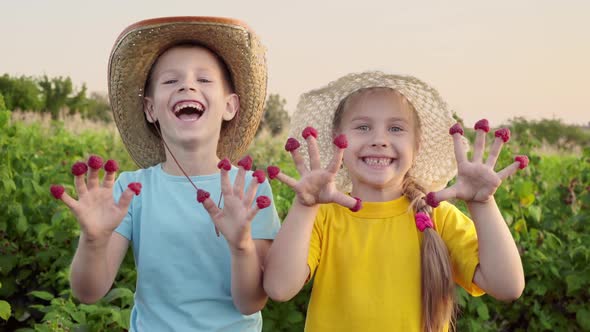 Brother and sister in straw hats laugh showing hands with raspberries on their fingers alt