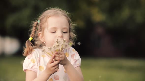 Charming Little Girl Blowing Dandelion While Walking