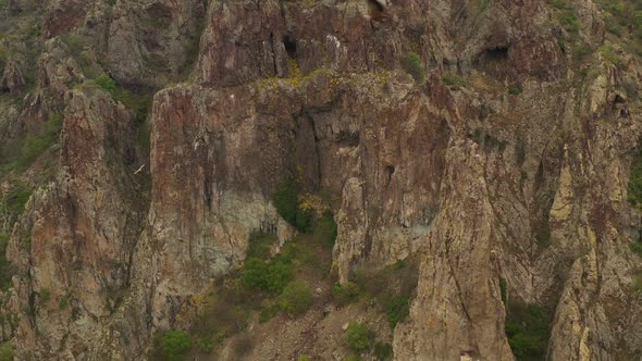 Habitat Of Griffon Vultures  alt