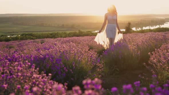 A Young Beautiful Girl in the Sunset in a Lavender Field Rises Up