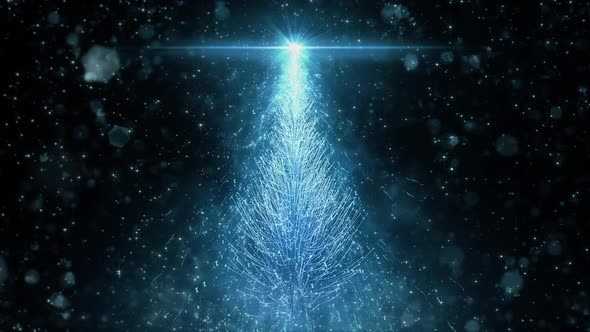 Animated Blue Christmas Pine Tree Star background seamless loop HD resolution.