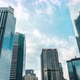 Business Skyscrapers Glass - VideoHive Item for Sale